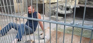 Запорожец, проживший месяц в одной клетке с львицей, метит на три рекорда сразу