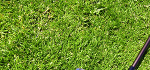 На этих выходных Добкин играл в гольф с теннисистом Евгением Кафельниковым