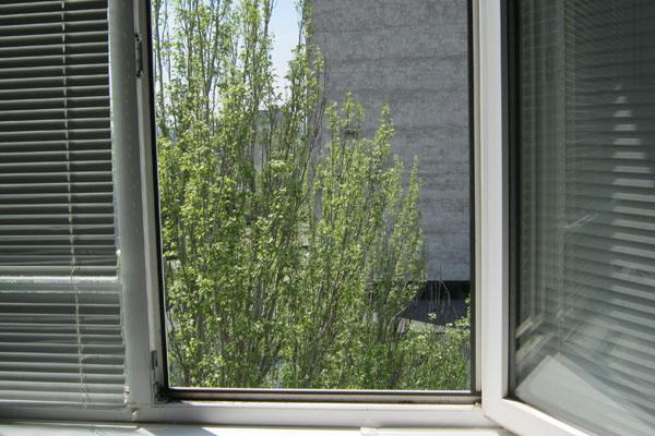 В этот день год назад запорожанка выбросилась из окна. Фото Vgorode.ua.