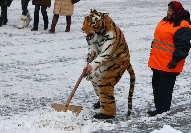 Владельцев кафе и офисов заставят убирать снег. Фото inpic.ru
