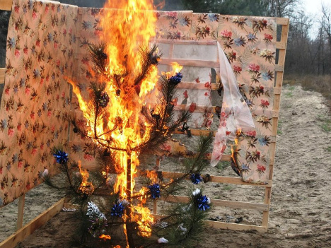 Фото zp.comments.ua. Эмчеэсники показали, как легко горит елка.
