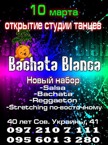 Справочник - 1 - Bachata Blanca, студия танцев