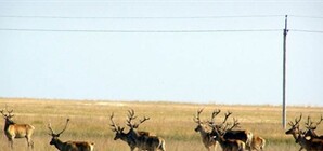 В Запорожской области продолжается война за Федотову косу