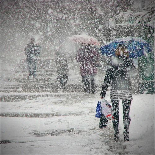 Погода порадует украинцев снегом. Фото - stihi.ru