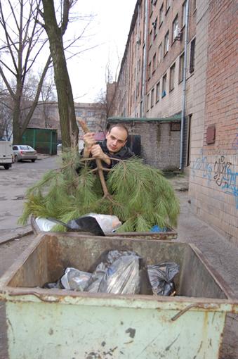 Избавляются от елок в основном после 14 января. Фото kp.ua