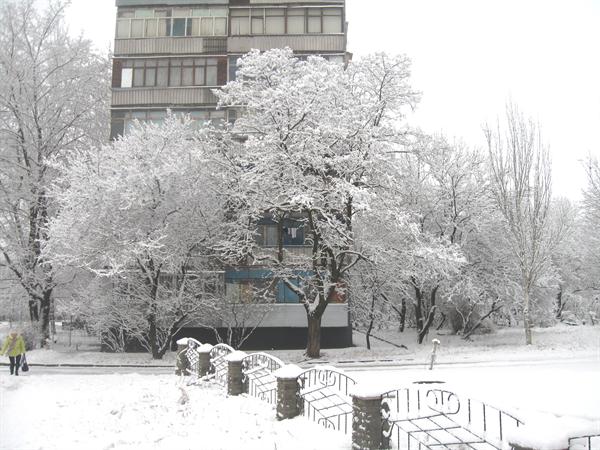 Снег сегодня вряд ли растает. Фото vgorode.ua