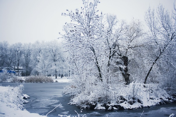 Зима в городе. Фото vgorode.ua