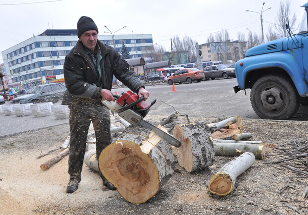 Деревья будут рубить бесплатно. Фото Павла Веселкова