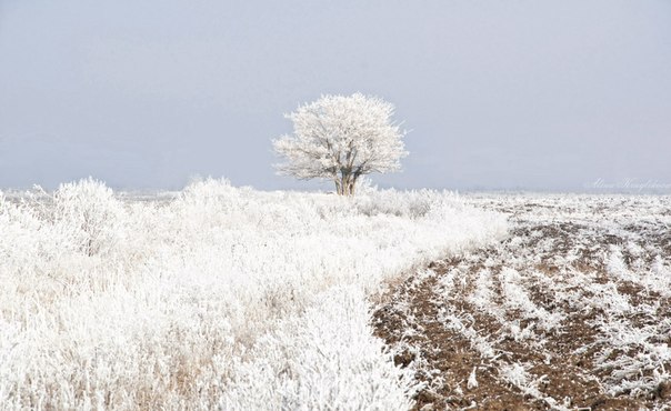 Запорожская зима может быть сказочно красивой. Фото Алина Кругликова