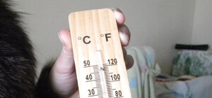 Запорожские чиновники замерзают на работе