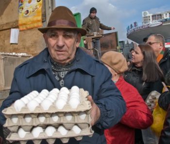 Запорожцы купили больше 7 тысяч яиц. Фото iz.com.ua