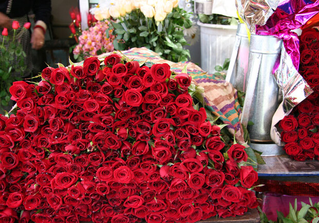 Миллион алых роз. Фото gekata81.livejournal.com