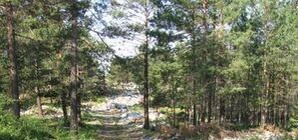 В Запорожье пересчитают все бесхозные свалки 