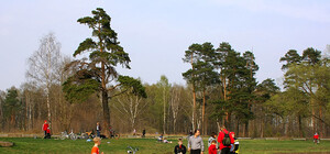 В каких парках любят погулять запорожцы: ТОП-6 