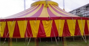 В Запорожье работает несколько таких цирков. Фото blog.i.ua