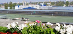 Испытано на Vgorode: украшаем балкон пшеницей и цветами