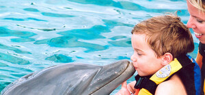 Игры с дельфинами и лечебные танцы: где оздоровить ребенка в Крыму