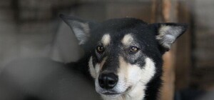 Сегодня утром на 