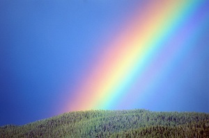 Справочник - 1 - Time cafe"РАДУГА"(Антикафе)