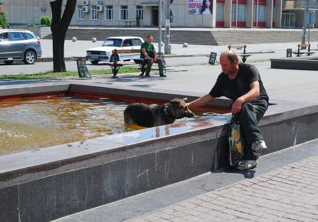 Возле фонтана собираются все жители города, в том числе и дворняжки. Фото автора