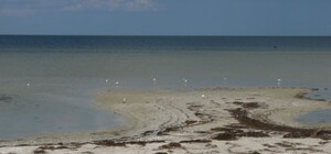 Планируем выходные: как и за сколько доехать до Геническа