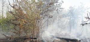 Фото: масштабный пожар на Великом Лугу