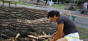 Под Запорожским дубом вырезают удивительные скульптуры из дерева