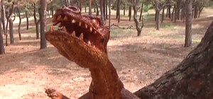 В Приднепровском лесу поселился полутораметровый дракон