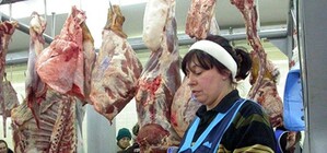 Запорожцы воочию смогут убедиться в качестве продаваемого мяса