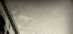 Легенды Харькова: правда или вымысел?