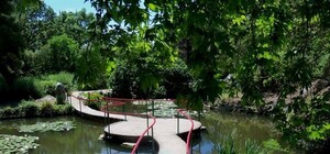 Едем на отдых в Форос: как добраться, где остановиться, что посмотреть 