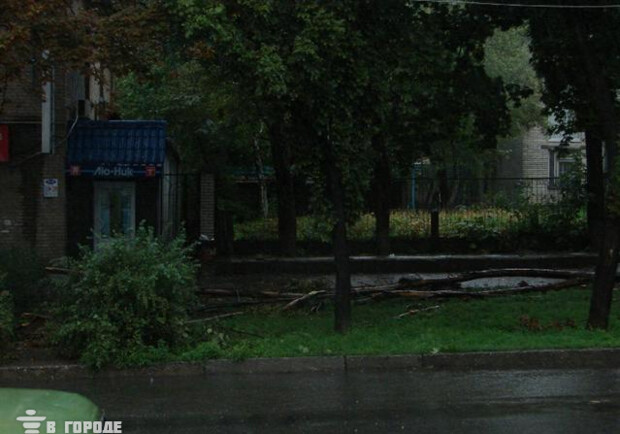 Новость - Коммуналка - Запорожские коммунальщики отчитались о ликвидации аварийных деревьев