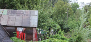 Канализация не справляется с водой, а грязь смывает парки