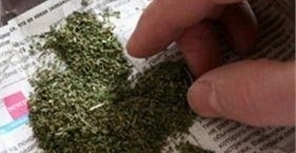  На Холодной горе задержали очередного любителя 