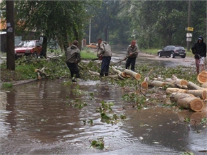 За три дня ураган в городе повалил больше сотни деревьев. Фото ГТУ МЧС Украины в Запорожской области.
