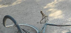 На перекрестке водитель 