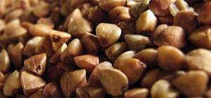 Харьковчанин надавал взяток важным 