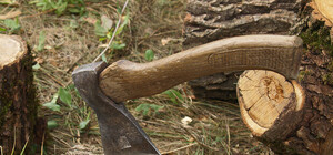 На Харьковщине наркоман напал с топором на своего гостя