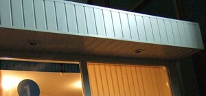 Проводники поезда 