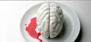 Покажите нам IQ: мозговой штурм запорожских чиновников