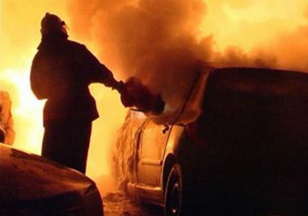 Фото с сайта profi-forex.org