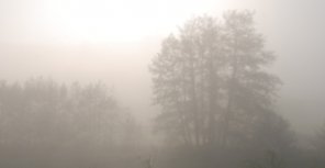 Завтра луганчане станут 