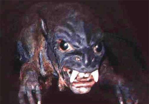 Новость - События - Возвращение чупакабры: неизвестный зверь терроризирует дома запорожцев