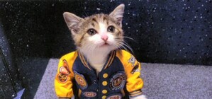 Топ-10 DJ Крыма: кто круче всех 