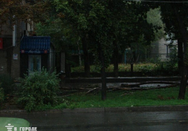 Новость - События - Шторм в Запорожье: шквальный ветер повалил деревья