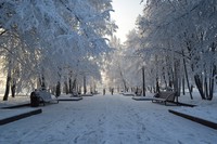 Новость - События - В Запорожской области 136 человек получили обморожения