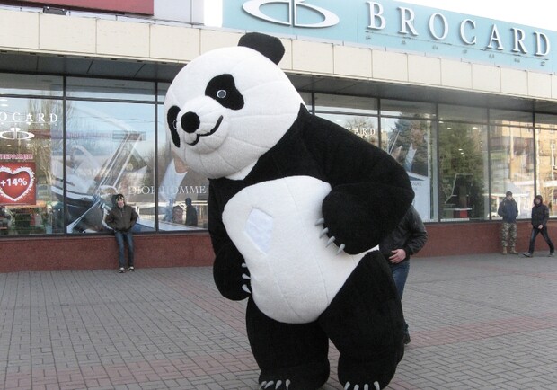 Новость - Досуг и еда - В Запорожье появилась гигантская панда