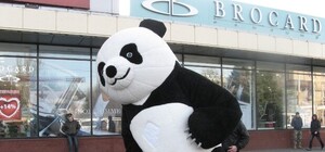 В Запорожье появилась гигантская панда