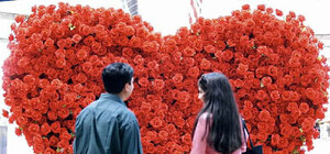 Влюбленные запорожцы станцуют, разрисуют стену и прокатятся на автобусе