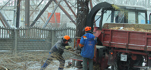 На Карла Маркса, Набережной и Гагарина трижды будут цвести цветы